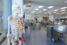 Gross Anatomy Lab; Jacobs School of Medicine and Biomedical Sciences at the University at Buffalo; 2019