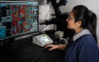 A pharmacology and toxicology student works on an experiment in the lab of Ji Li, PhD