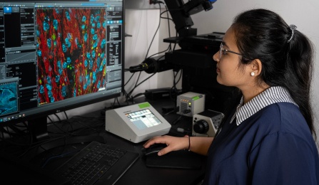 A pharmacology and toxicology student works on an experiment in the lab of Ji Li, PhD