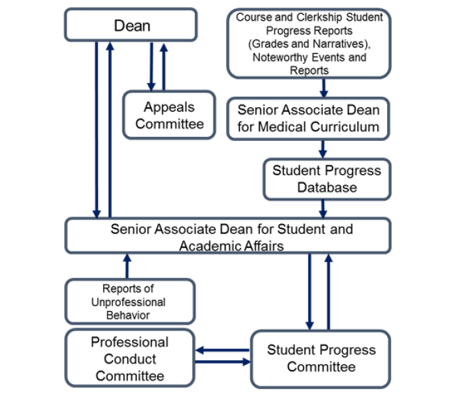 The chart is a graphic depiction of the oversight of student academic and professional development in years 1 to 4. Course and clerkship student progress reports (grades and narratives), noteworthy events and reports go to the Senior Associate Dean for Medical Curriculum who is responsible for ensuring that the relevant information is entered in the student progress database for review by the Senior Associate Dean for Student and Academic Affairs. The Senior Associate Dean for Student and Academic Affairs reports substandard student performance and any reports of unprofessional behavior by students to the Student Progress Committee. Cases of unprofessional behavior are referred to the Professional Conduct Committee which reports findings back to the Student Progress Committee. A report of the findings and conclusions of the Student Progress Committee will be forwarded to the Senior Associate Dean for Student and Academic Affairs who will take the action(s) specified in the Committee’s report. A student may appeal any action to the Dean. When a request for an appeal is granted, the Dean may refer the appeal to the Appeals Committee, which reports recommendations to the Dean. 