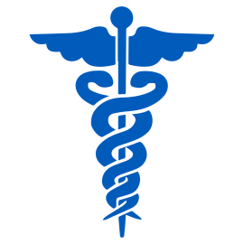 A caduceus, the traditional symbol of Hermes, which features two snakes winding around a winged staff. It is often used as a symbol of medicine, especially in the United States. 