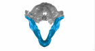 Digital, 3-D reconstructions of the skull — including jaws — of Siamogale melilutra, a giant prehistoric otter with a surprisingly powerful bite. Credit: Z. Jack Tseng