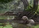 Artist's rendering of Siamogale melilutra, a giant prehistoric otter with a surprisingly powerful bite. Credit: Artwork by Mauricio Anton