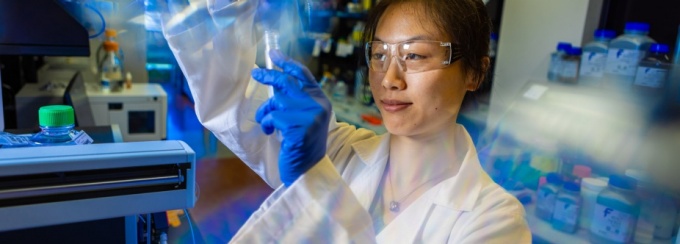 Researcher checking lab results. 