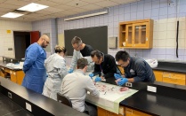 Cardiothoracic Fellows dissecting at a table. 