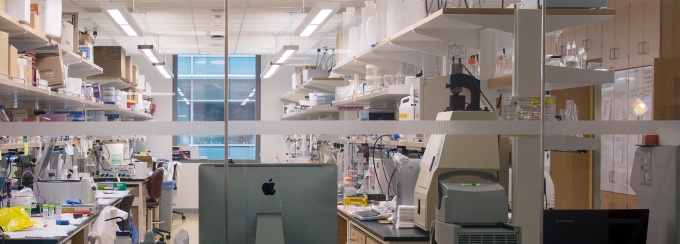 Lab. 