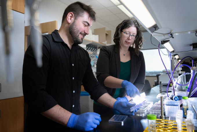 Benjamin C. Hunt, PhD and Chelsie E. Armbruster, PhD. 