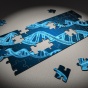 A puzzle with an image of DNA. 
