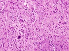 Zoom image: Cell stain