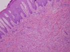 Zoom image: Cell stain