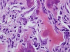 Zoom image: Cell stain