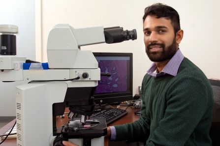 Nakul Ravish. 