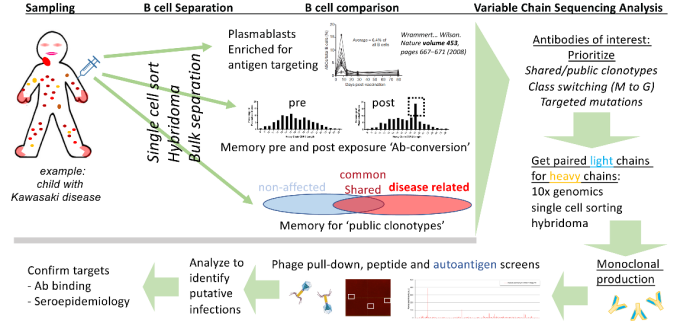 Hicar research figure.