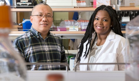 JunXu Li, MD PhD; Lakeisha Lewter PhD student. 