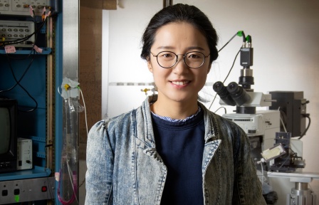 Qing Cao, PhD. 