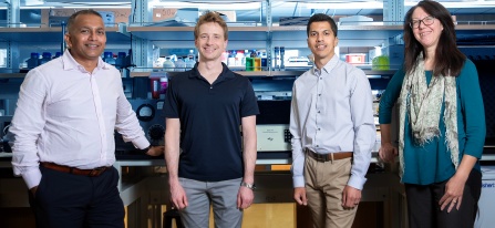 Group shot of four new faculty members in the Department of Physiology and Biophysics. 