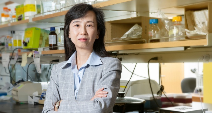 Zhen Yan, PhD. 