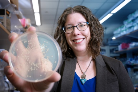 Chelsie Armbruster holding a petri dish with bacteria growth.