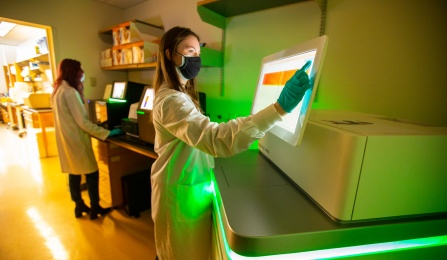 Research happening in a lab in the Center for Center Bioinformatics Life Sciences. 