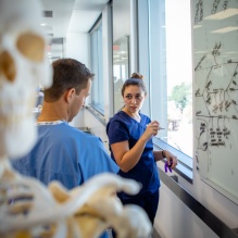 students working in anatomy lab. 