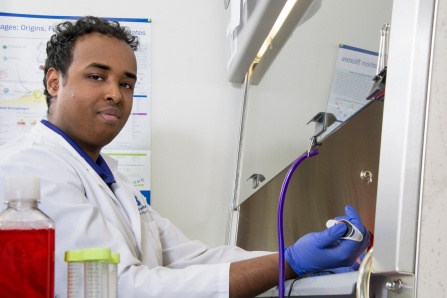 Undergraduate student working in lab. 