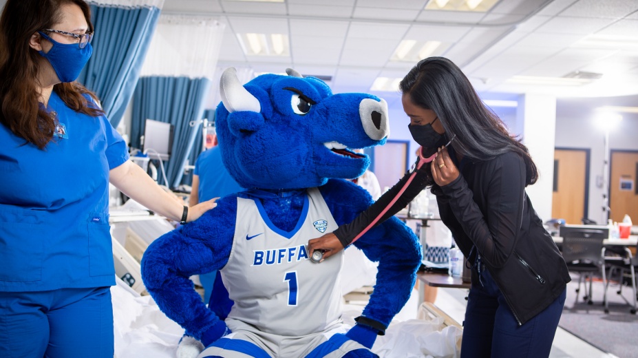 UB Mascot Victor E Bull being seen by health profession students. 