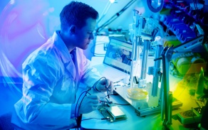 Student working in lab. 