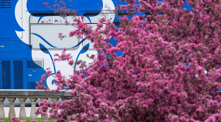 image of Victor E Bull painted on a bus. 