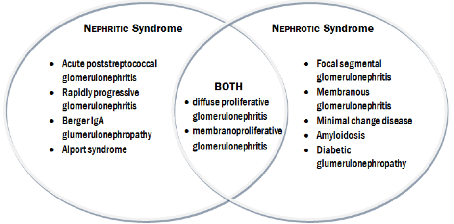 Venn diagram comparing and contrasting between nephritic and nephrotic syndromes. 