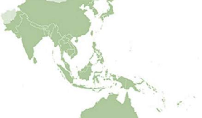 A green map of Asia. 