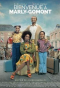 Movie poster African Doctor, an african family posing with suitcases: mother, father, little girl and little boy. 
