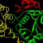 Visualization of DNA. 