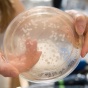 Toxicology Research Center. 