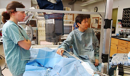 UB researchers working in the cardiovascular lab. 