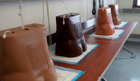 Four lumbar puncture trainers.