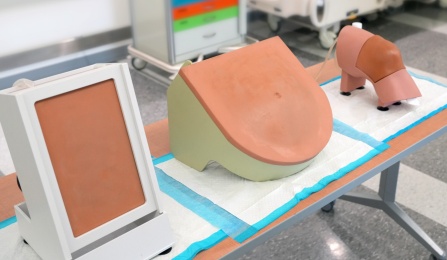 A thoracentesis, paracentesis, and arthrocentesis trainer.