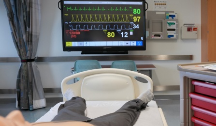 The patient monitor associated with Laerdal's SimMan 3G.