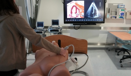 A user demonstrates a cardiac ultrasound scan on the Vimedix simulator.