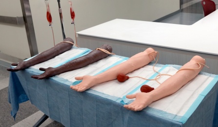 Venipuncture and arterial puncture trainers. 