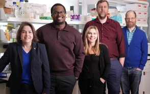 Jessica L. Reynolds, PhD, and members of her lab. 