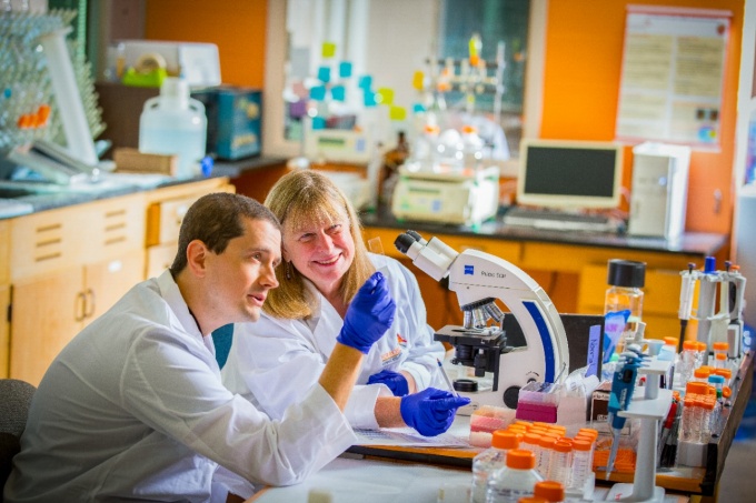Two scientists in a laboratory working with a microscope. 